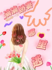 滴滴娇妻哪里逃