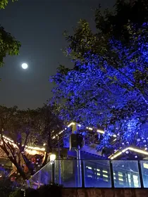 虹蓝（小故事）