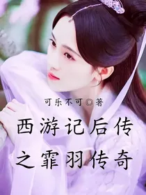 西游记后传之霏羽传奇