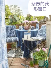 悲伤的菱形窗口