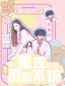 TNT：重现原形系统