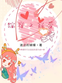 综穿之窃爱