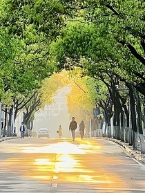 花又开啦