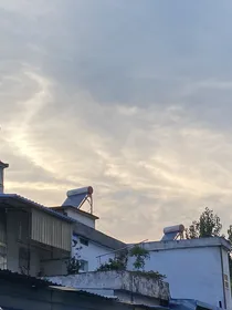 心心念恋……