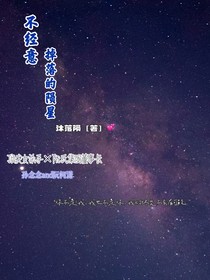 不经意掉落的陨星