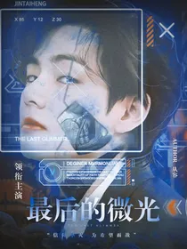 BTS：最后的微光