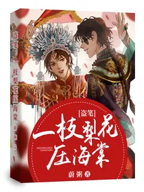 盗笔：一枝梨花压海棠