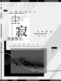黑猫警长：尘寂