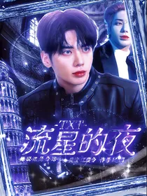 TXT：流星的夜