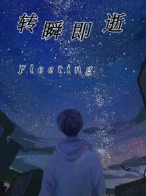 查理九世：转瞬即逝