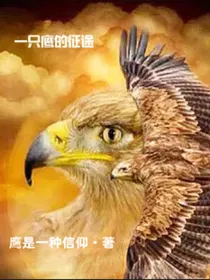一只鹰的征途