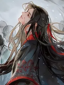 渡劫失败后我夺舍了？（忘羡）