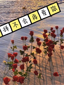 选择不会再爱你