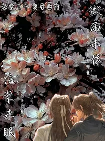 微雨未停海棠未眠
