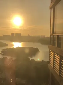 末世求生之花开