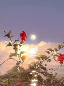 贩卖可爱的素材铺子