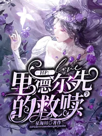 HP：里德尔先生的救赎
