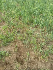 犬瘟热体育i哦怕SD法国红酒快乐自行车v不那么