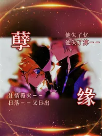 （凹凸世界）瑞金：孽缘——纪念文