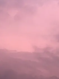 想法……
