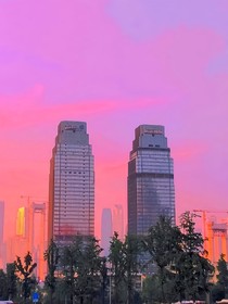 拍买