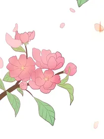 盗墓：花颜如玉