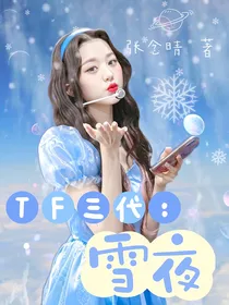 TF三代：雪夜