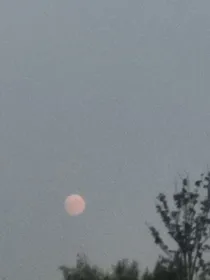 不是灯光是月光