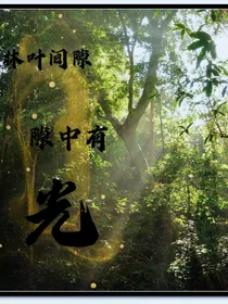 林叶间隙，隙中有光