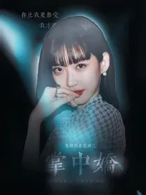泰版流星花园之掌中娇