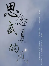 思念盛夏的风