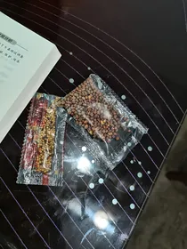 我们一直相爱