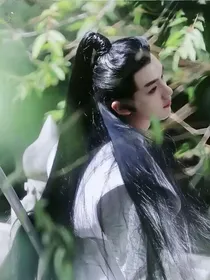 TNT重生女尊