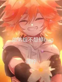 弟弟组不想修bug