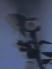 小竹马的信息素好香