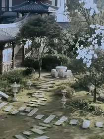 陈情令观影B站视频