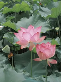 修身养性