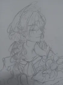 蔷薇科