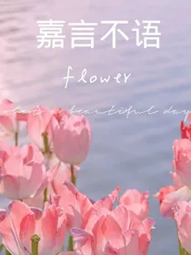 嘉言不语