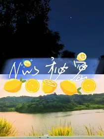 N的秘密