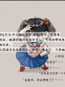 一把琴