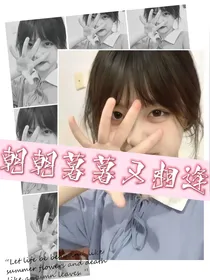 朝朝暮暮又相逢