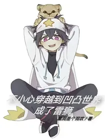 不小心穿越到凹凸世界成了雷狮