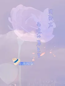 浅藏在南境的暮色里