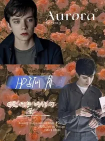 HP：孤月