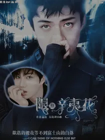 吴世勋：限定辛夷花