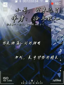 盗笔：小哥，我来迟了