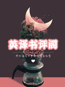 英译书评阁（暂不接单）