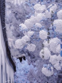 落花时节，曾逢拾翠，忽听吹箫
