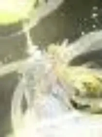 赛尔号之毁灭宇宙